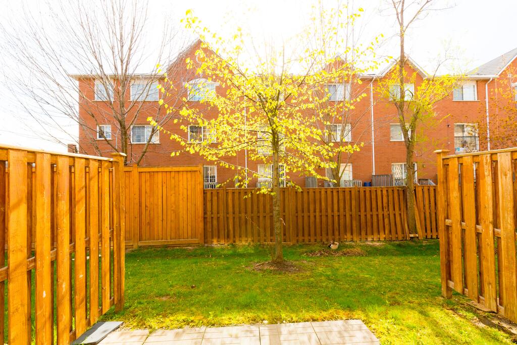 Backyard