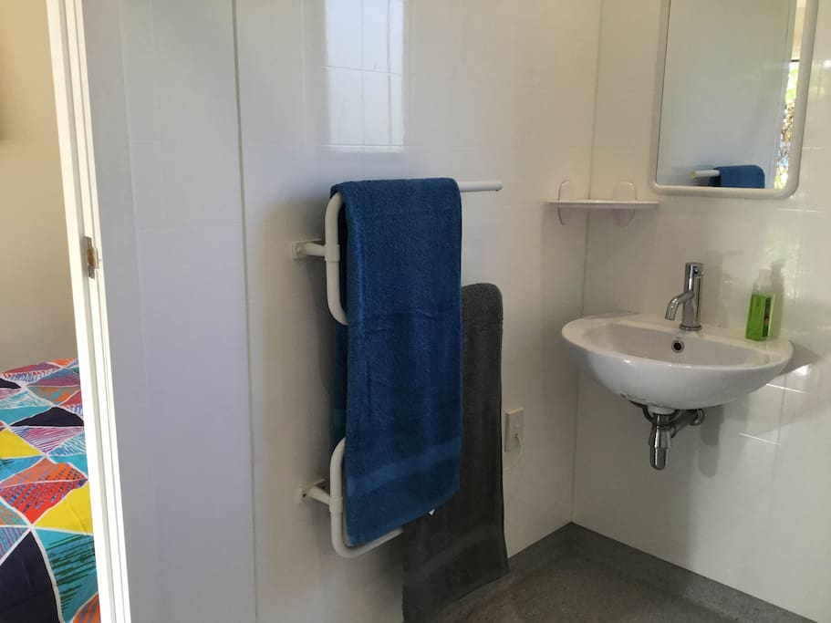 Ensuite bathroom - walk-in shower, toilet and hand basin