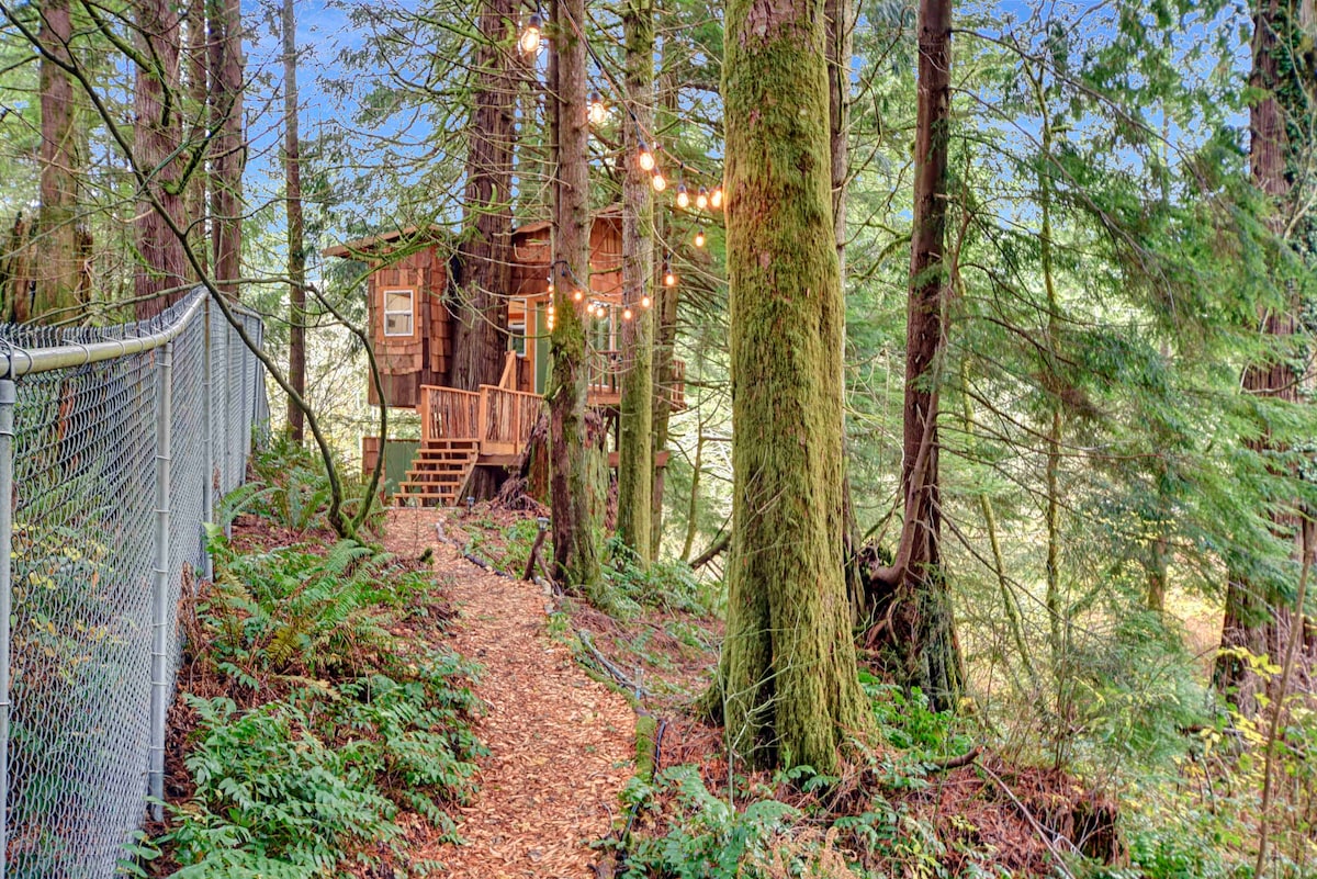 A secluded path lined with ferns leads to the cedar shake treehouse, nestled among towering trees. Soft lighting from hanging bulbs enhances the serene forest atmosphere. A wooden deck and staircase are visible, inviting guests to explore the cozy retreat.