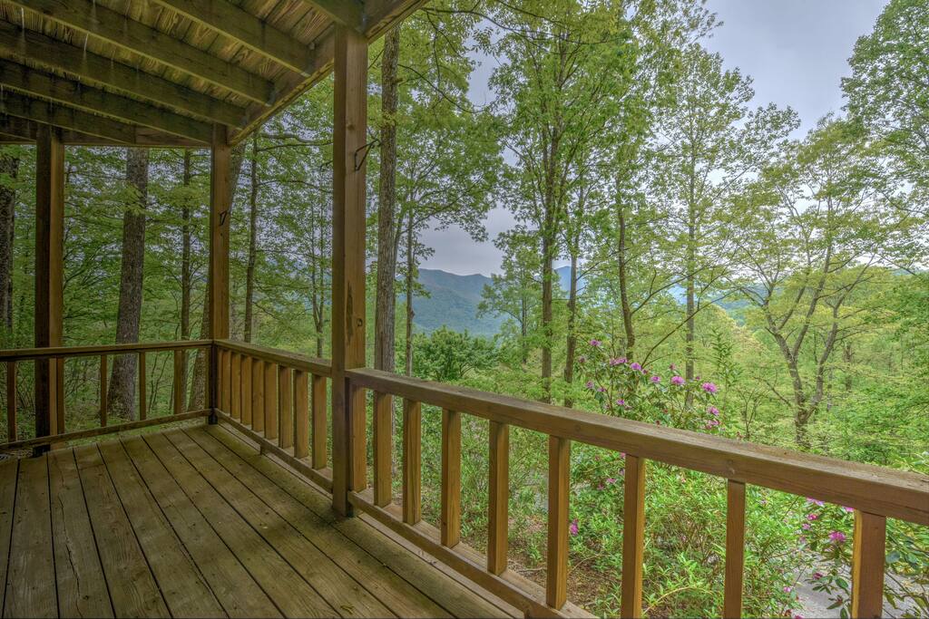 View from the wraparound deck