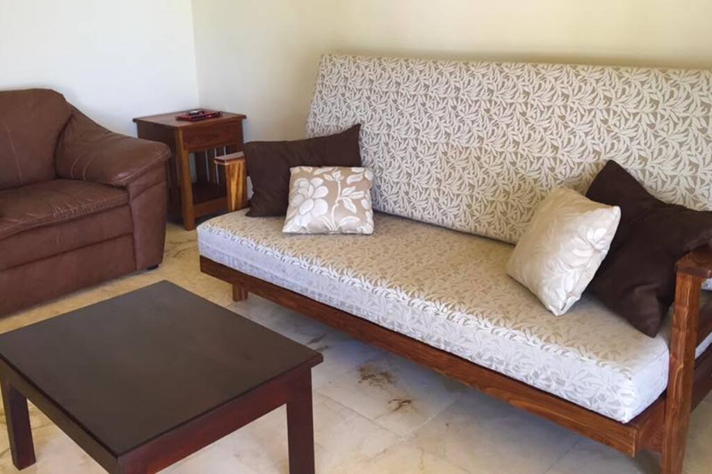 Placentera y elegante sala con sofá-cama.