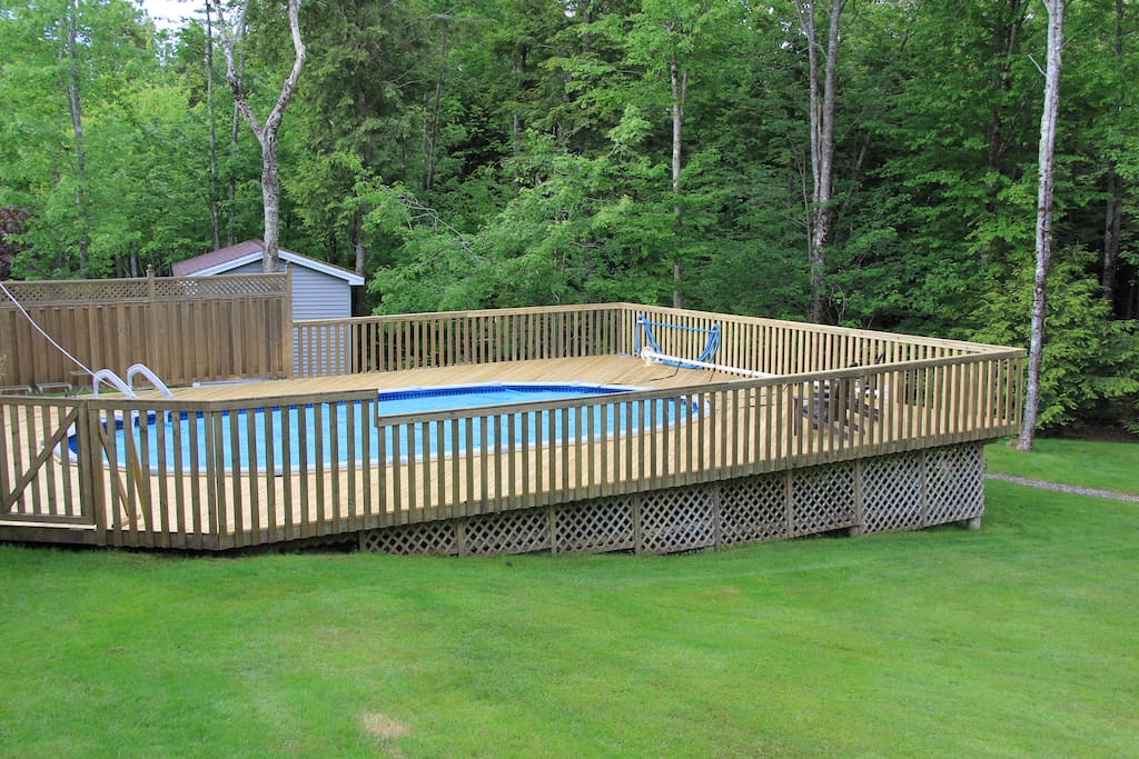 Back of House Pool