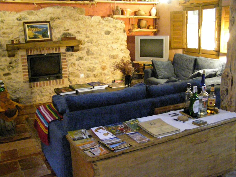 Salon lectura y chimenea
