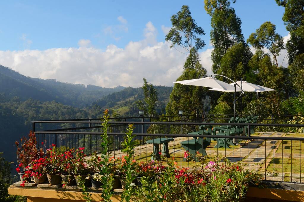 Terrace area