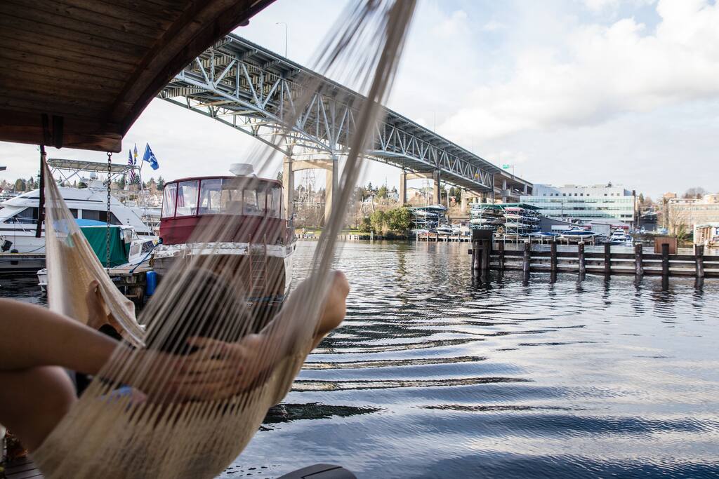 Hammock on back deck