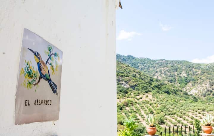 El Abejaruco Caseron En La Sierra De Cadiz Casas Rurales En Alquiler En Benamahoma Andalucia Espana