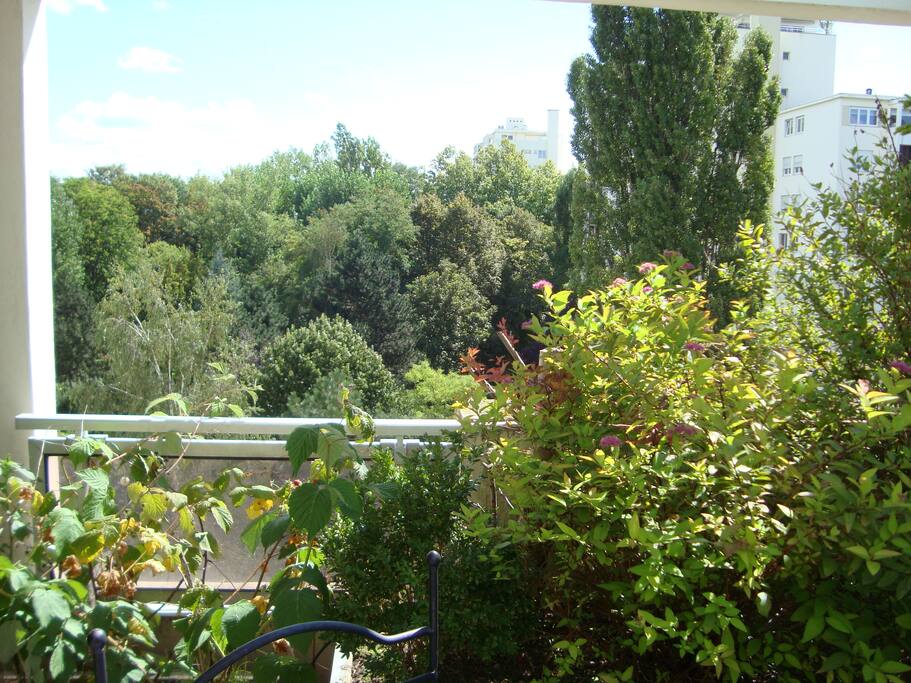Terrasse vue sur parc