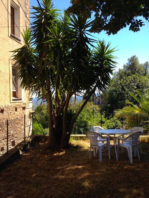 Jardin (barbecue, tables et chaises pour 24 personnes)
