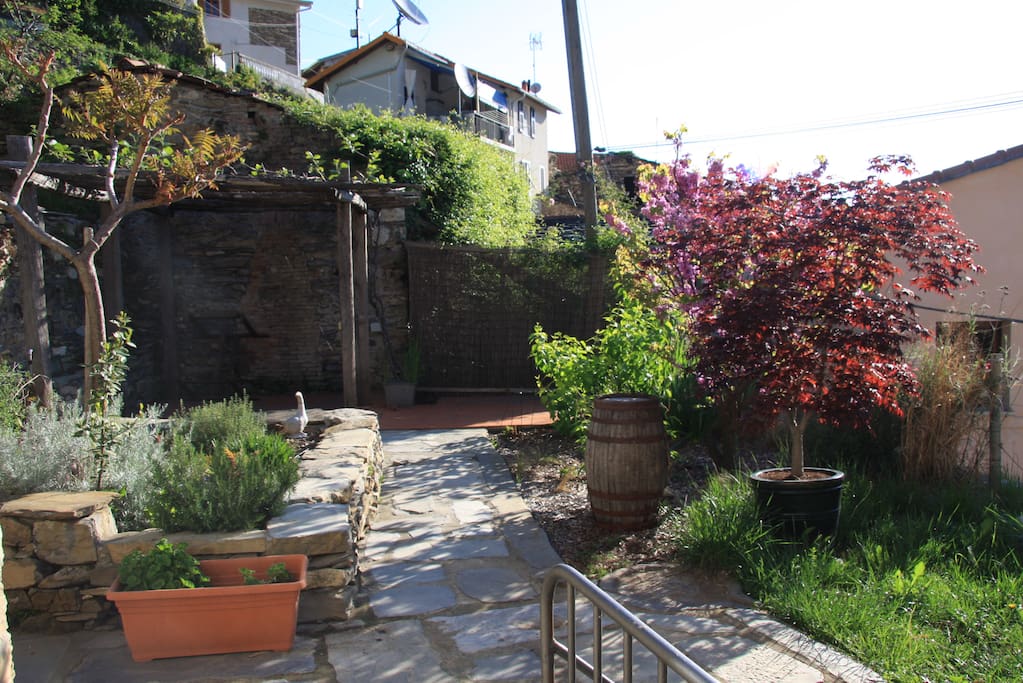 From Garden with shaded area