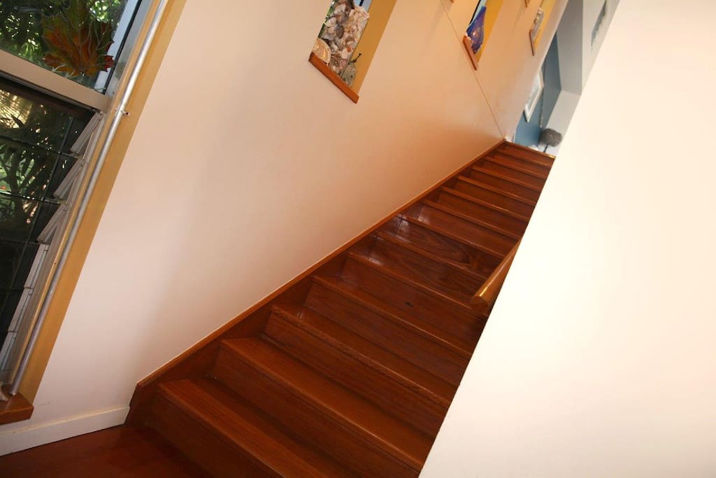 The stairway to a relaxed modern beach house