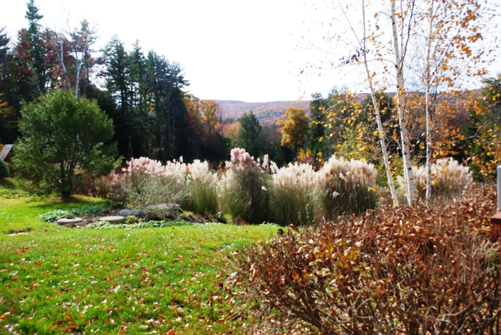 fall view from porch