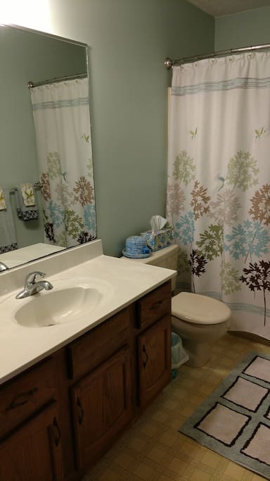 Large Mirror and Sink area