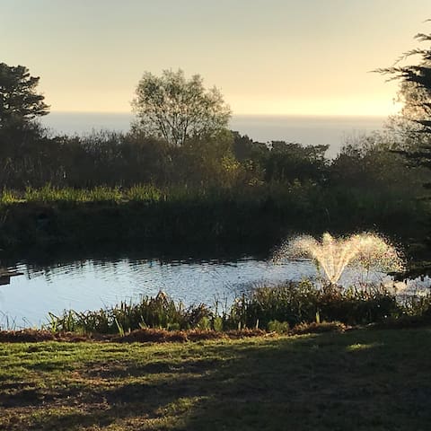 Bean Hollow West Cottage