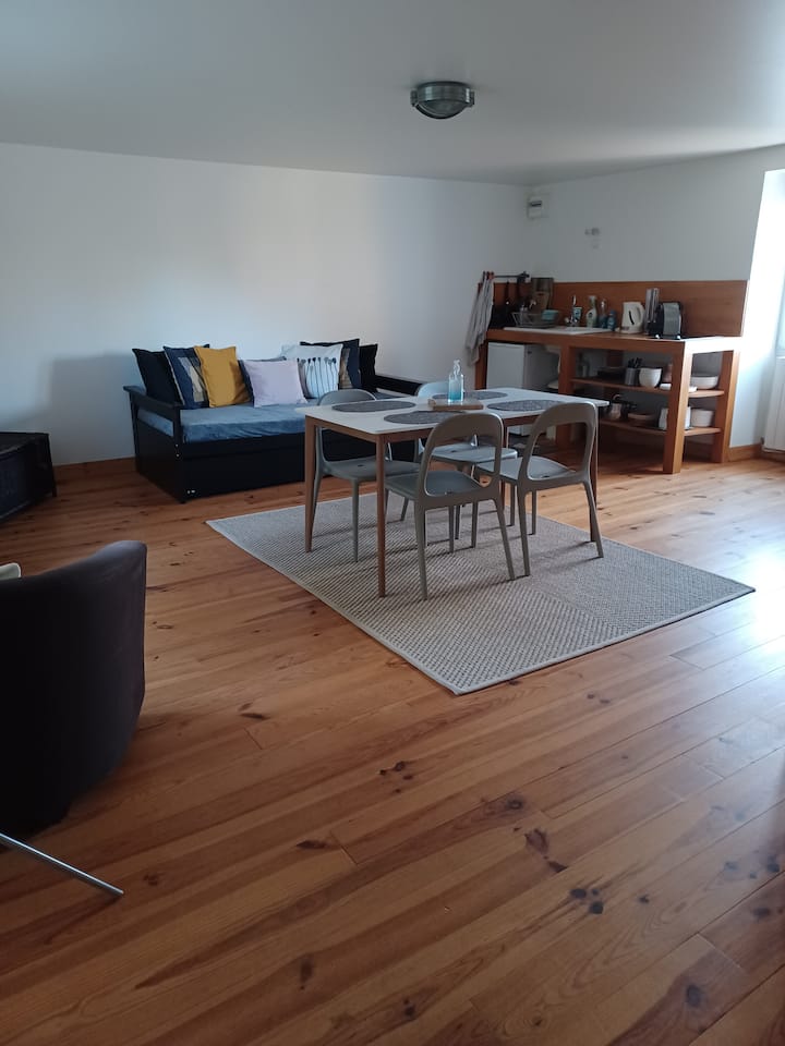 Sala de estar con cocina y cama nido