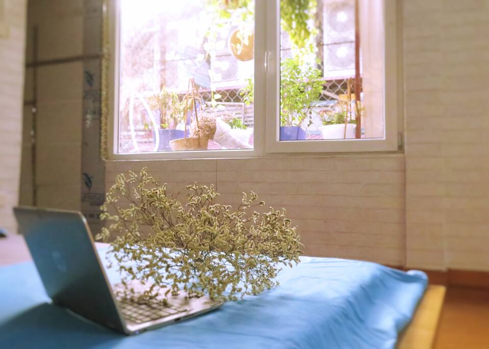 Fresh air and sunshines from 2 windows of the room