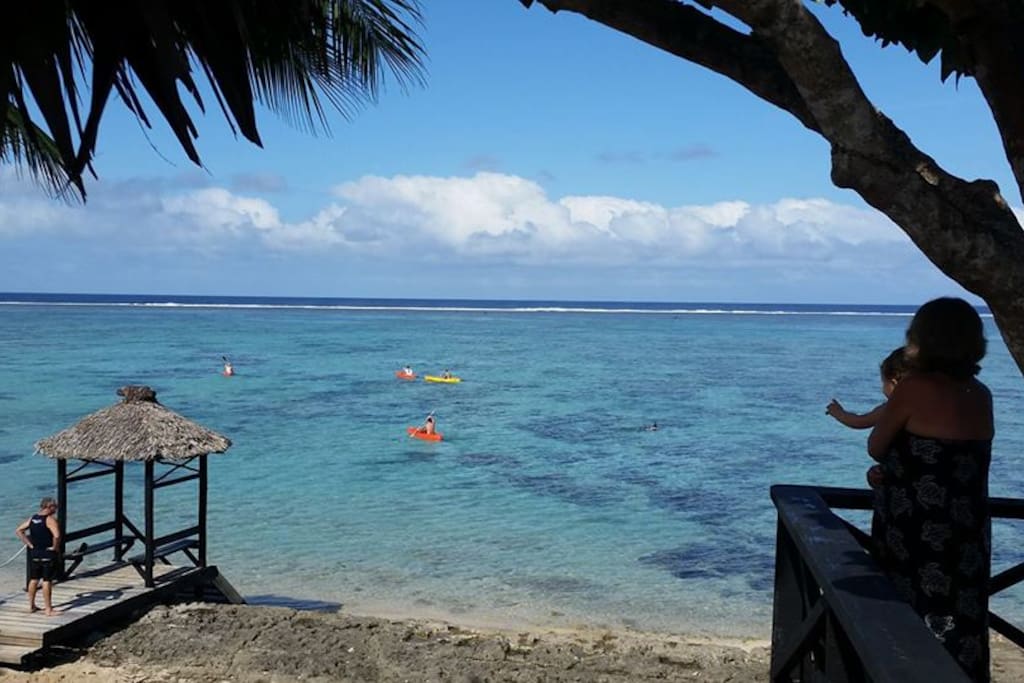 Enjoy Coral Palms backyard aquarium.