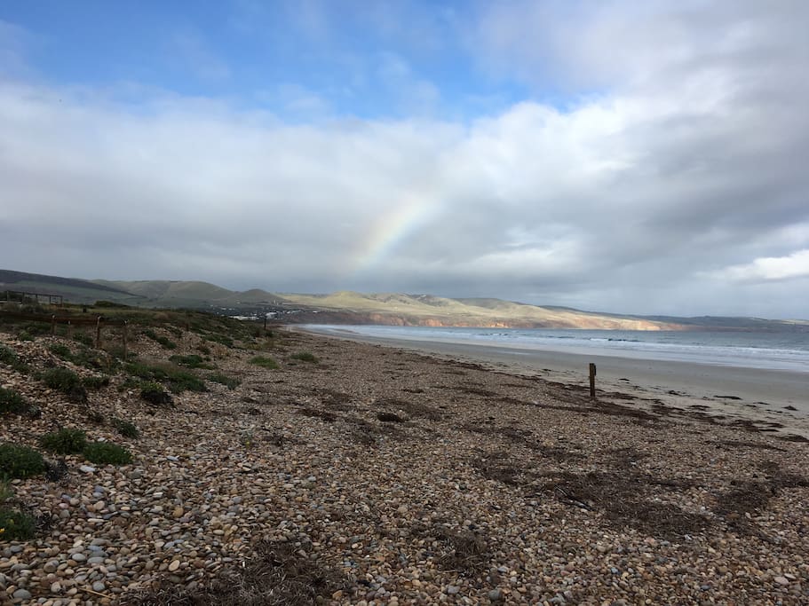 Morning walk along the beach