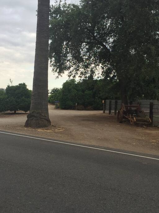 Driveway from Olivera Drive (Hwy 245)