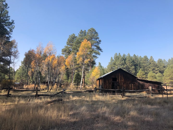 Top 10 Tiny Houses For Rent In Flagstaff, Arizona Updated 2024 Trip101