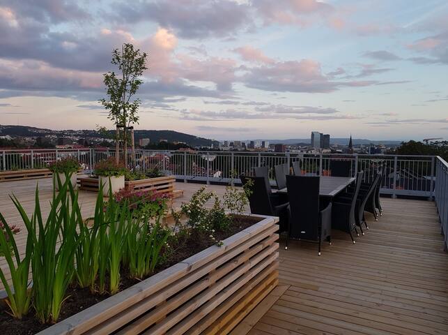 Penthouse (123 sqm + 50 sqm private terraces) gallery image 5