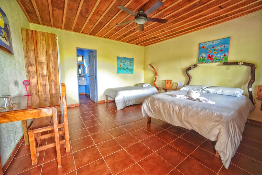 Main Lodge room, Armadillo