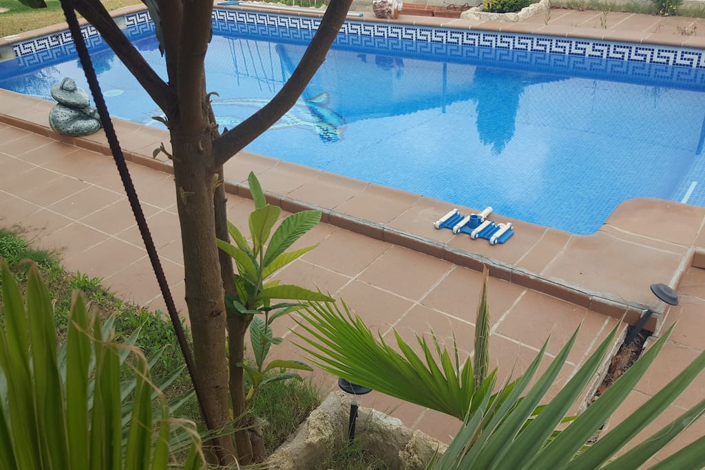 Vistas de la piscina y el jardín.