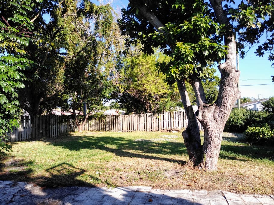 Beautiful back yard perfect for kids.