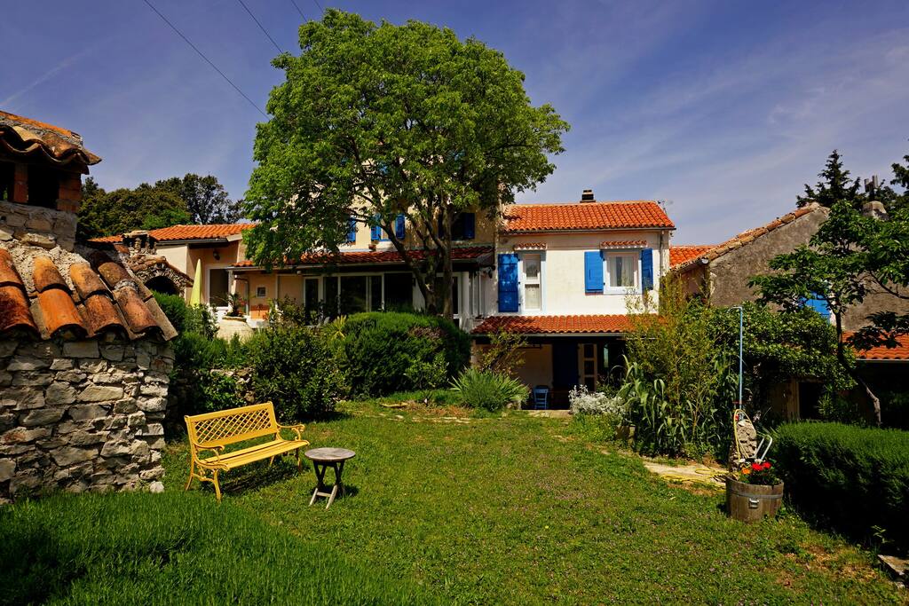 Lawn in front of the house