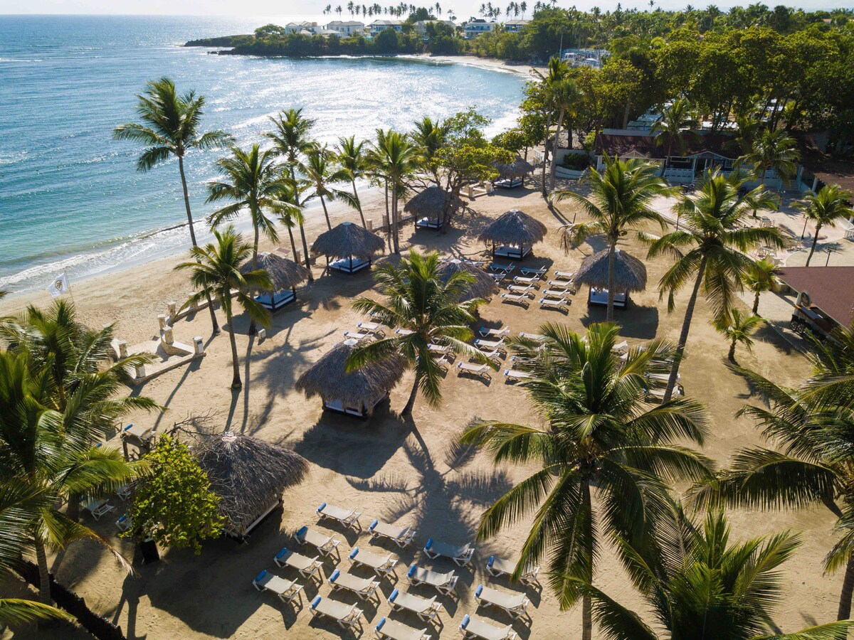 An aerial view captures a beach area adorned with palm trees and shaded cabanas. Lounge chairs are positioned thoughtfully on the sand, with the glistening ocean visible in the background. The tranquil shore invites relaxation under the warm sun.