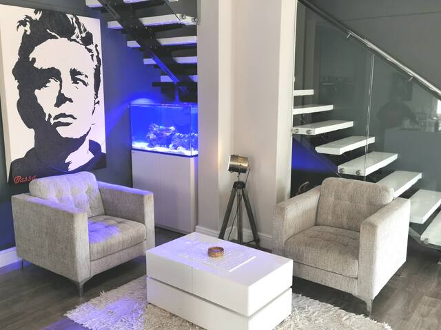 “Hollywood on the Hill” gallery image 5