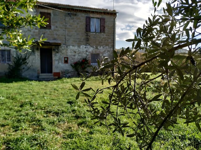 "Blue CornFlower" Country House