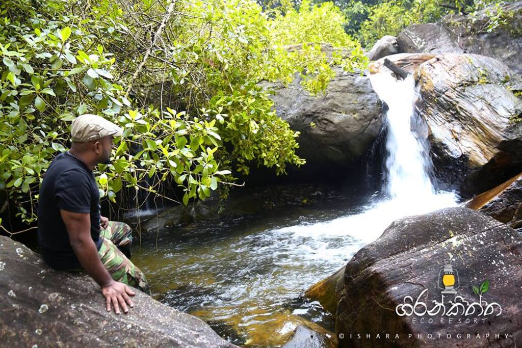 Natural Swimming pools