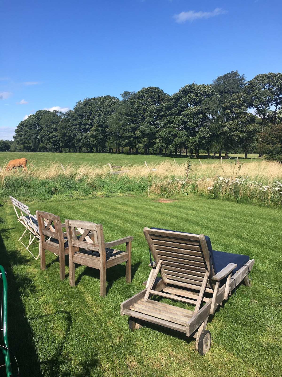 A peaceful outdoor space is depicted, featuring several wooden sun loungers arranged on a grassy area. In the background, a lush row of trees provides shade, while a field of tall grass adds to the natural ambiance. A serene countryside setting is showcased.