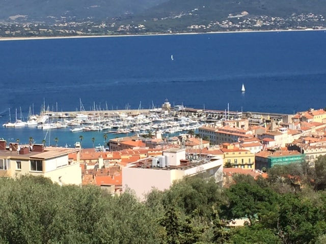 A panoramic view showcases the marina of Ajaccio, with numerous boats docked against vivid blue waters. The terracotta roofs of nearby buildings are visible in the foreground, complemented by the greenery of surrounding trees. The backdrop features distant hills and a clear sky.
