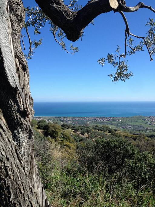 panorama dal giardino
