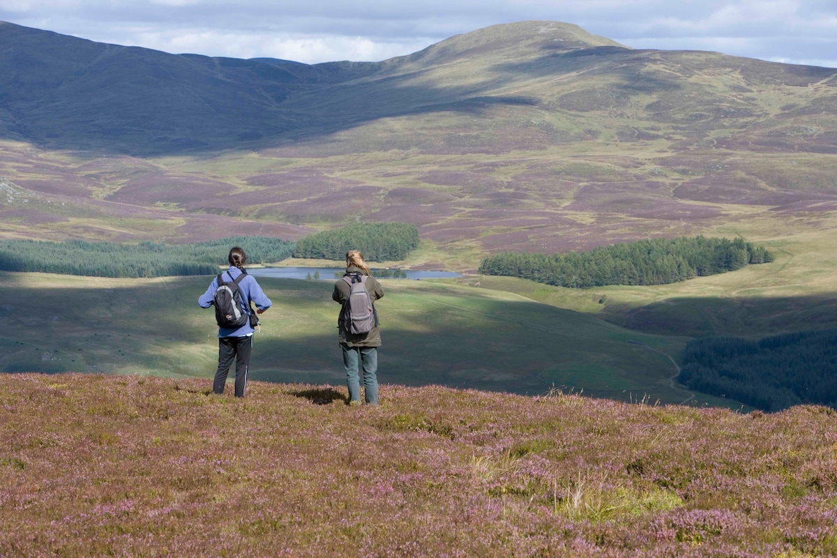 Two individuals stand on a heather-covered hillside, gazing down at a serene loch surrounded by green trees. The expansive landscape features rolling hills, with a mix of heather and grass under a partly cloudy sky.
