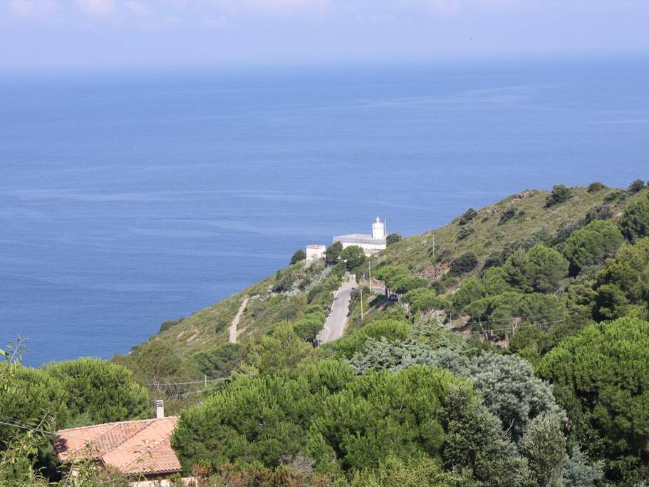 vista dal giardino di casa Mary - il Faro di punta Polveraia-
32/5000
View from the garden of Casa Mary - the lighthouse of Punta Polveraia