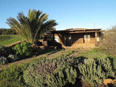 Proprietà Airbnb di successo: La Palma - your most romantic Dammuso a Pantelleria