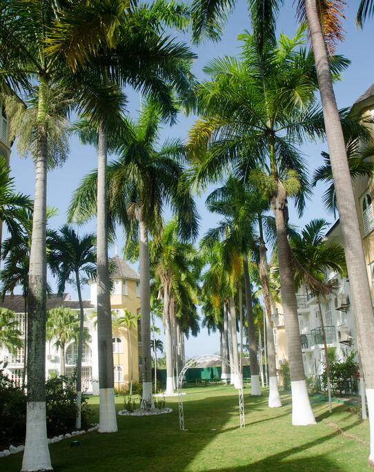 gardens