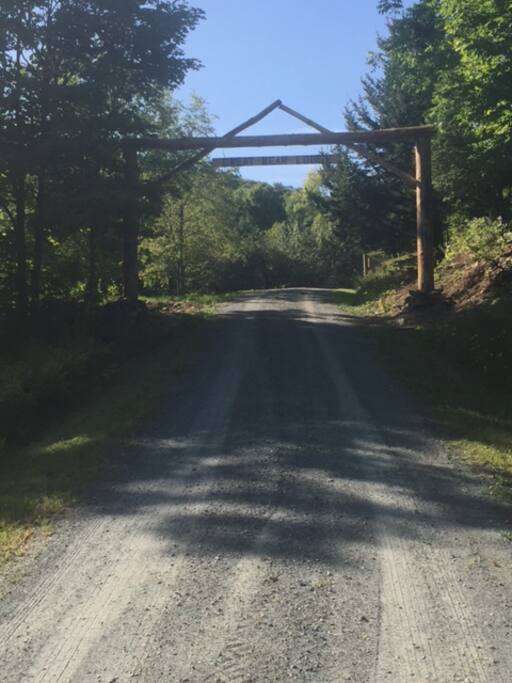Welcome to Great Bear Lodge