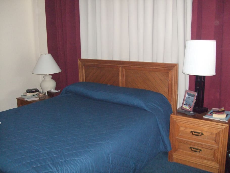Master Bedroom with attached bath.
