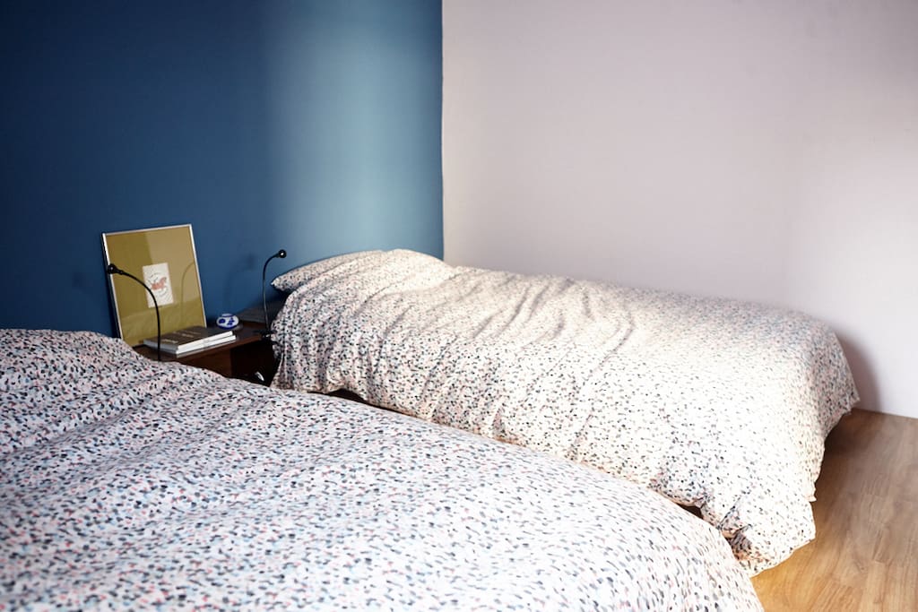 Room 1. The twin bedroom(2 super single beds)