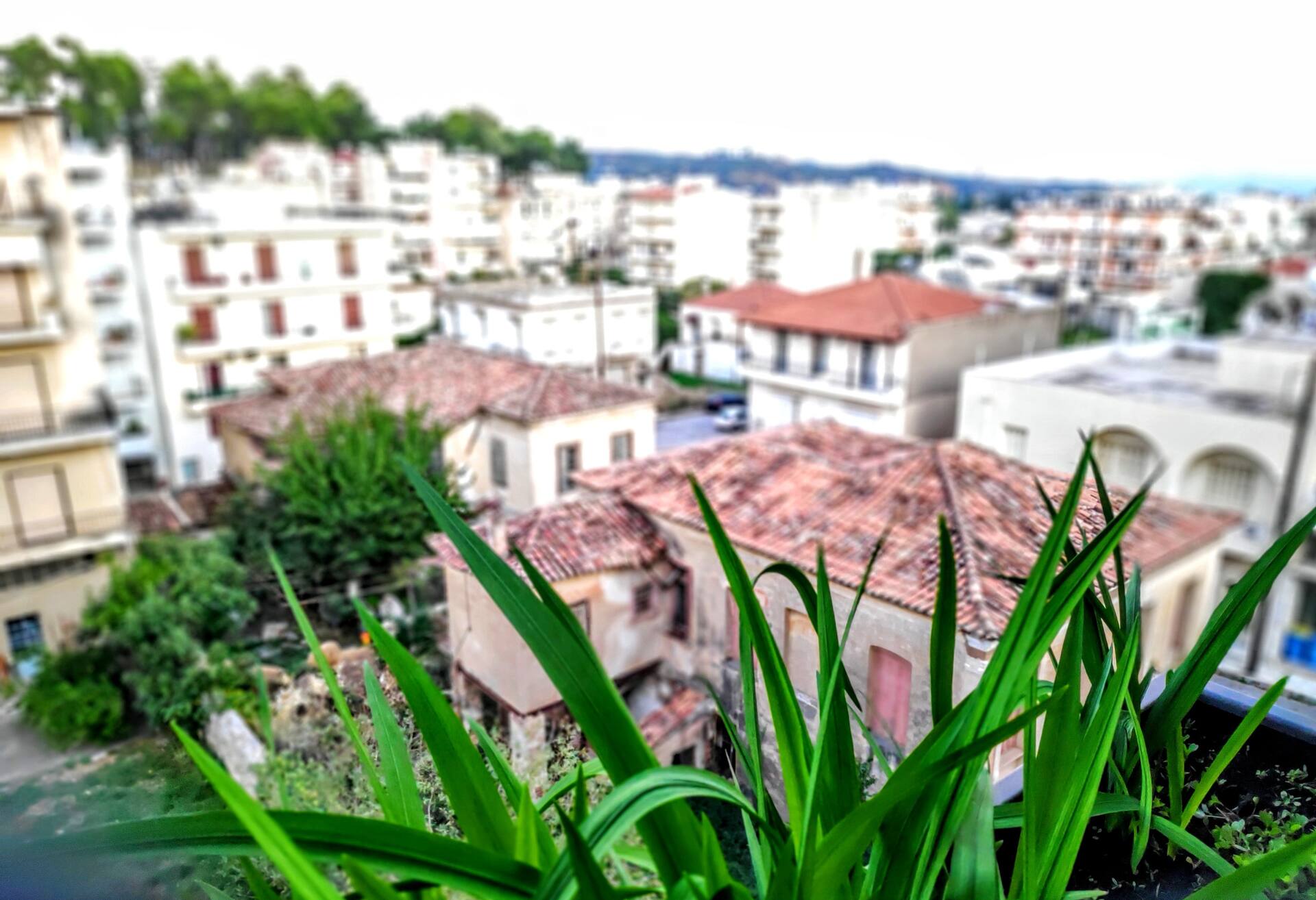 Penthouse in center of sparta — photo 5