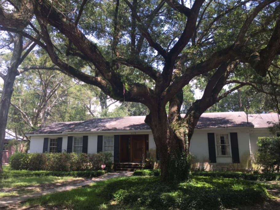 Old Mt. Pleasant Luxury Home, Suite A