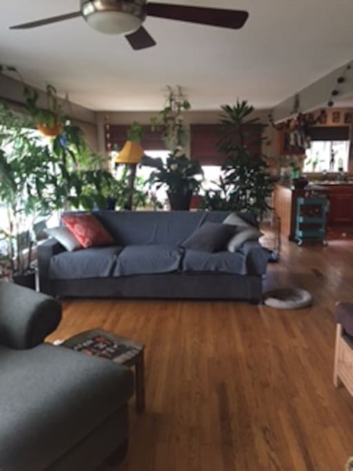 Front Room