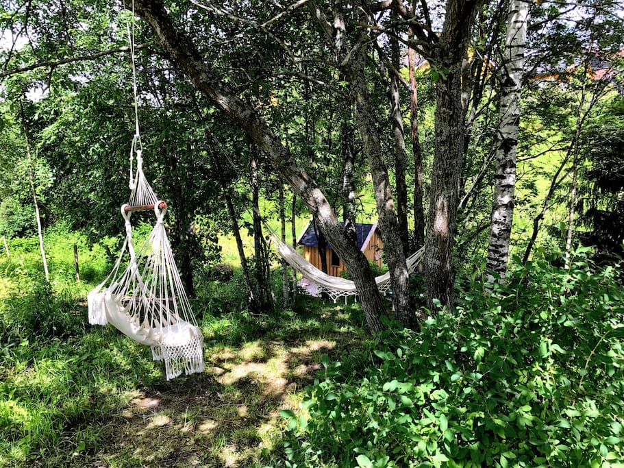 Hammocks, free for you use