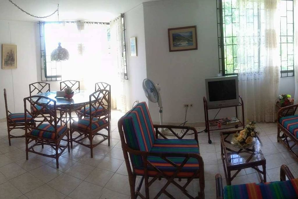 zona comun (sala comedor)