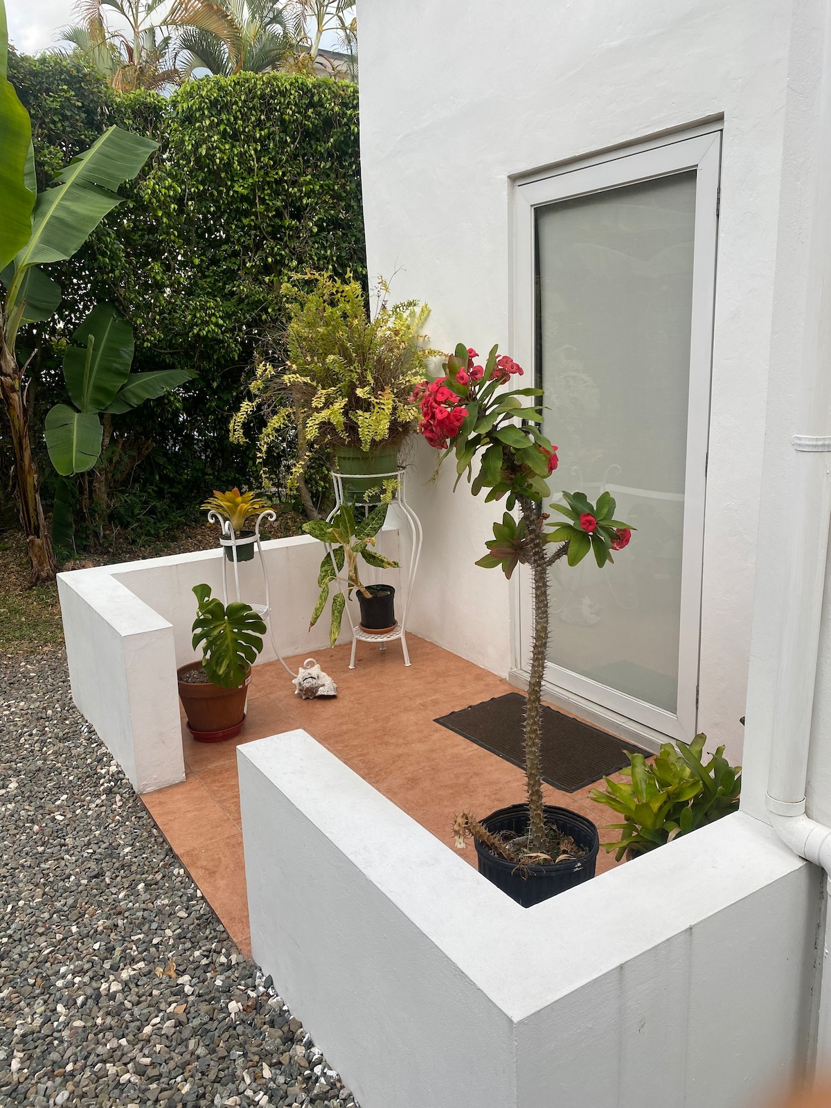 An outdoor sitting area is visible, featuring a small patio with a mix of potted plants including flowering species. A white chair and small table complement the space, providing a serene entrance to the garden apartment. The surrounding greenery adds a natural touch.