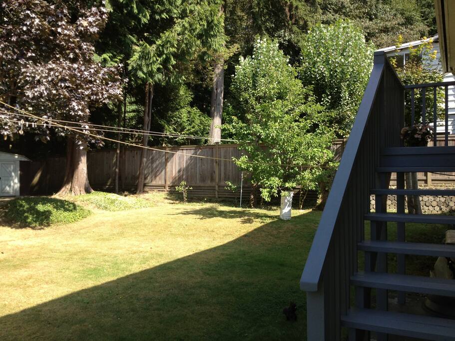 Large backyard with BBQ