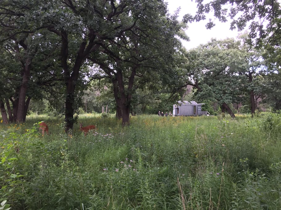 Summer 2018: Coldwater Spring National Park, Minneapolis, MN